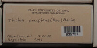 Image Associated With the Occurence